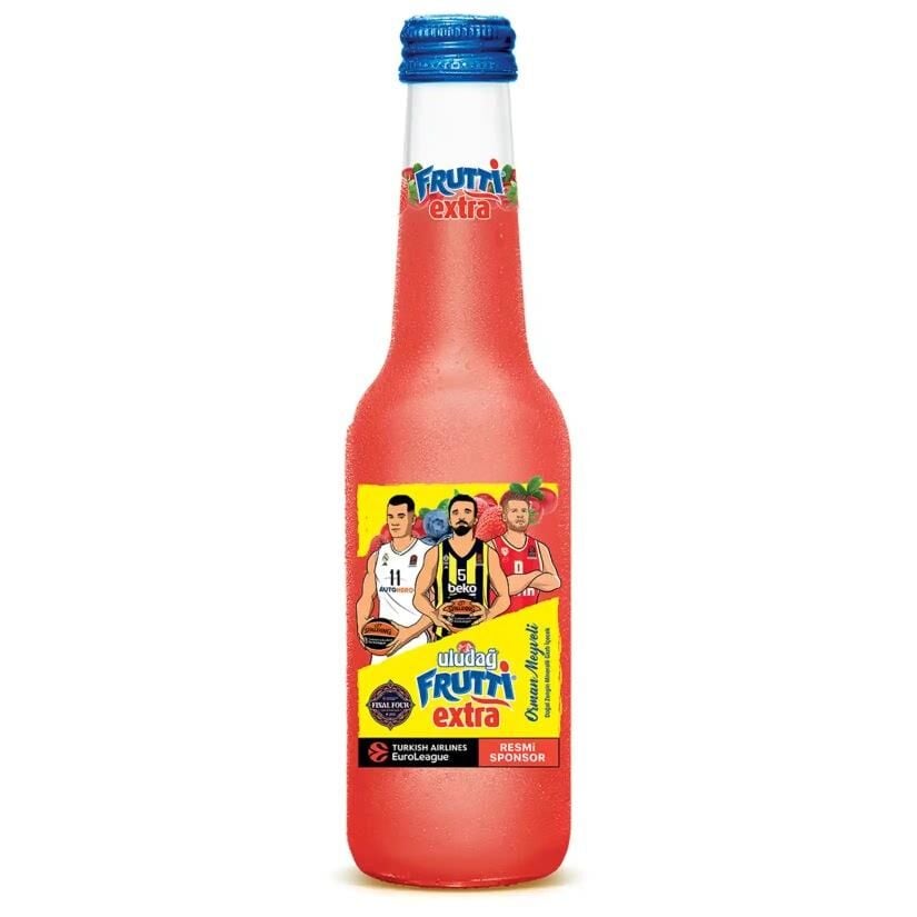ULUDAĞ FRUTTİ ORMAN MEYVELİ 250 ML