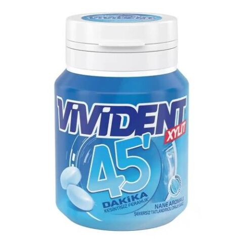 VİVİDENT 45 DAKİKA NANE AROMALI DRAJE 67 GR