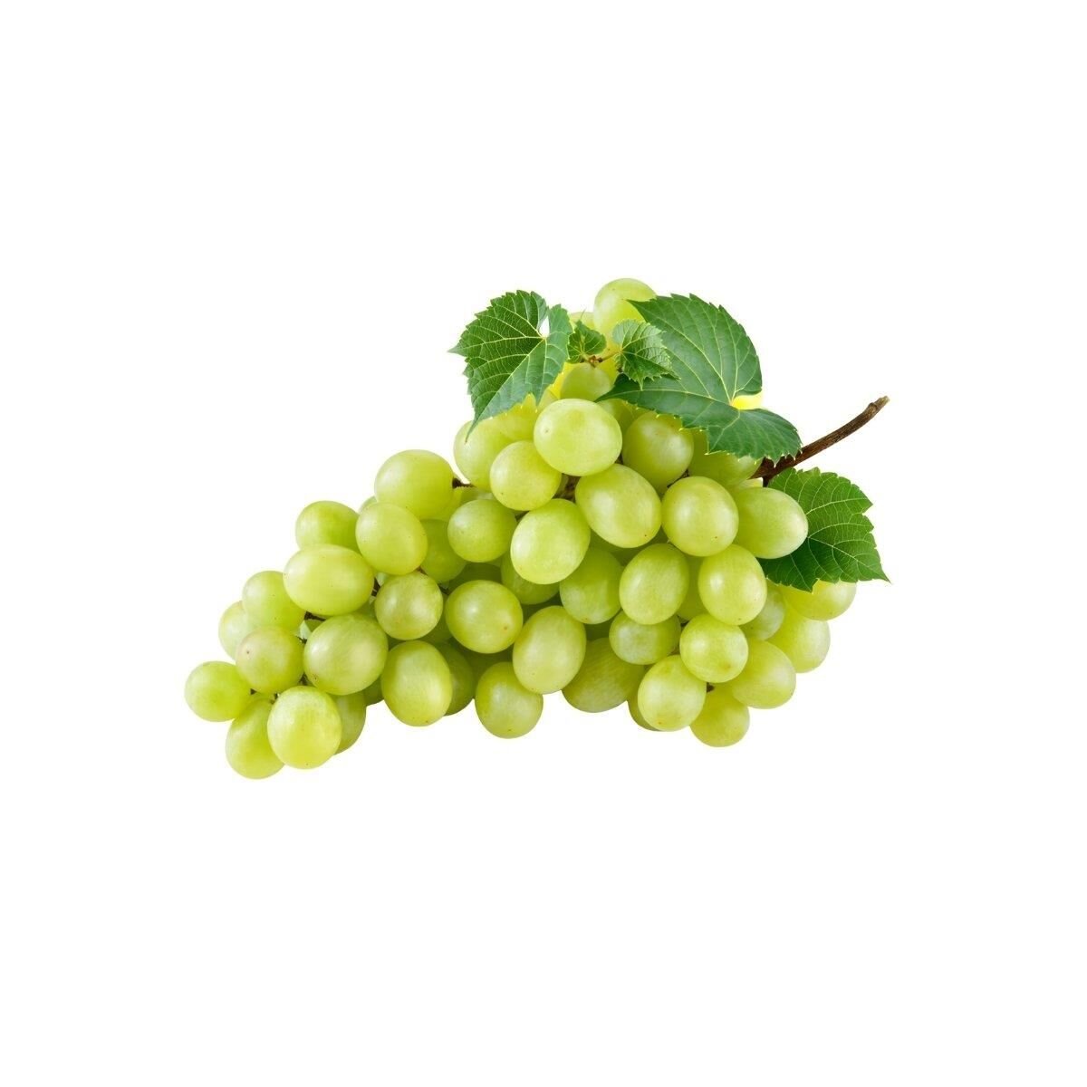 ÇEKİRDEKSİZ ÜZÜM KG