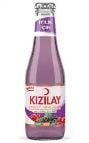 KIZILAY MADEN SUYU KARADUT-FRENK 200 ML
