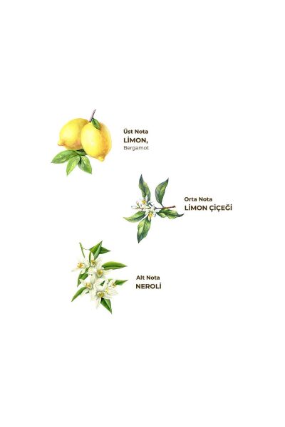 EST LİMON KOLONYASI 1 LT