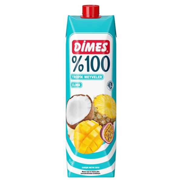 DİMES TROPİK MEYVELER 1 LT