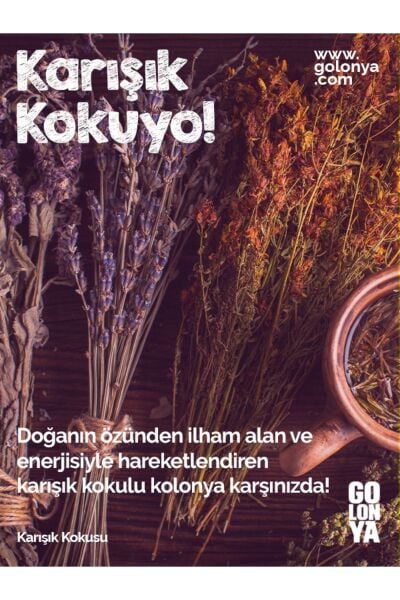 GOLONYA REMIX KOLONYA 250 ML