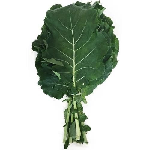 LAHANA SARMALIK BAĞ