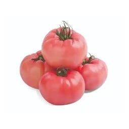 MNV DOMATES PEMBE KG
