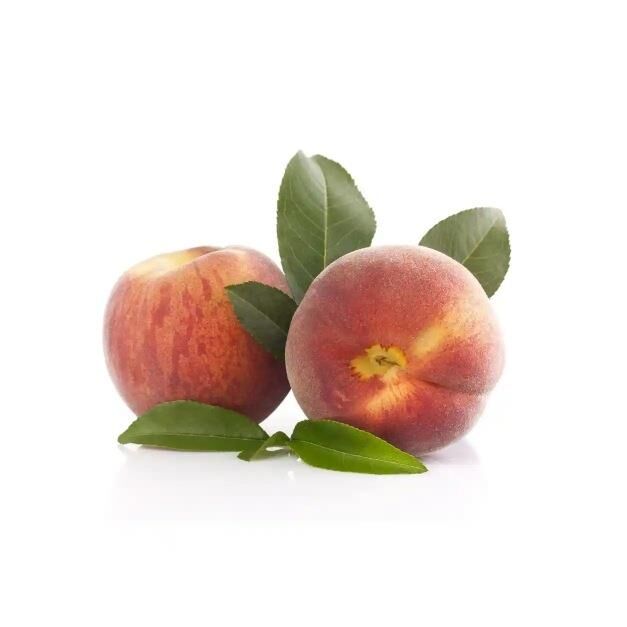 MNV ŞEFTALİ KG