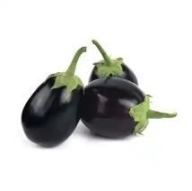 MNV TOPAK PATLICAN