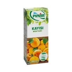 PINAR MEYVE SUYU KAYISI 200 ML
